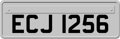 ECJ1256