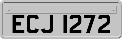 ECJ1272