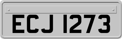 ECJ1273