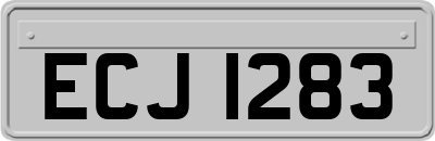 ECJ1283