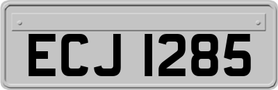 ECJ1285