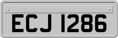 ECJ1286