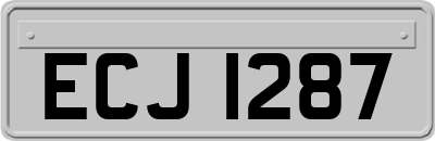 ECJ1287