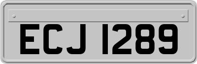 ECJ1289