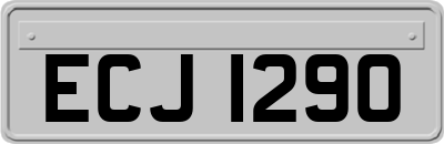 ECJ1290