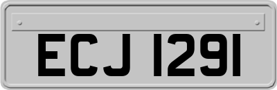 ECJ1291
