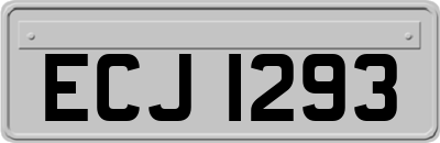 ECJ1293