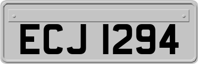 ECJ1294
