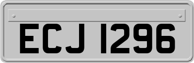 ECJ1296