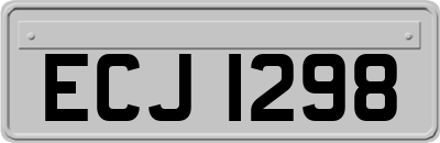 ECJ1298