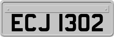 ECJ1302