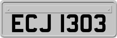 ECJ1303