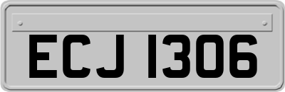 ECJ1306