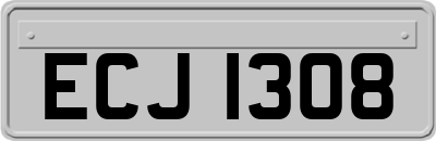 ECJ1308