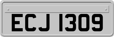 ECJ1309