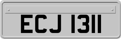 ECJ1311