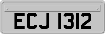 ECJ1312