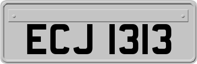 ECJ1313