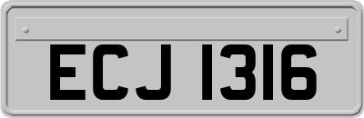 ECJ1316