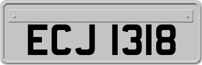 ECJ1318