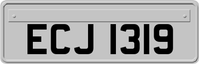 ECJ1319