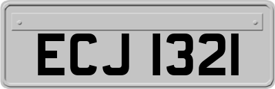ECJ1321