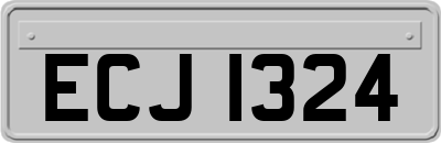 ECJ1324