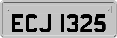 ECJ1325