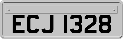 ECJ1328