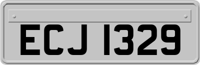 ECJ1329
