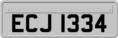 ECJ1334