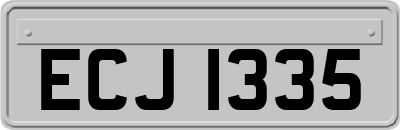 ECJ1335