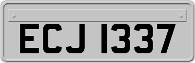 ECJ1337