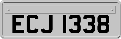 ECJ1338