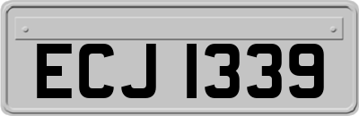 ECJ1339