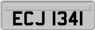 ECJ1341