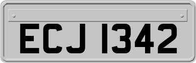 ECJ1342