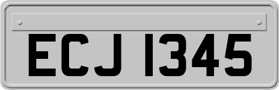 ECJ1345
