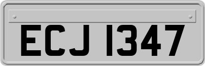 ECJ1347