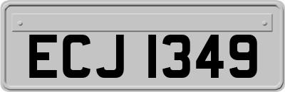 ECJ1349