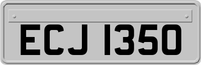 ECJ1350