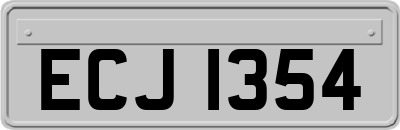 ECJ1354
