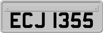 ECJ1355