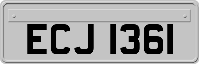 ECJ1361