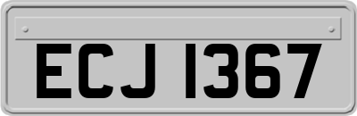 ECJ1367