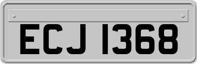 ECJ1368
