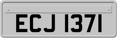 ECJ1371