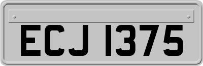 ECJ1375