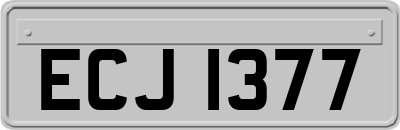 ECJ1377
