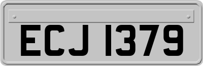 ECJ1379